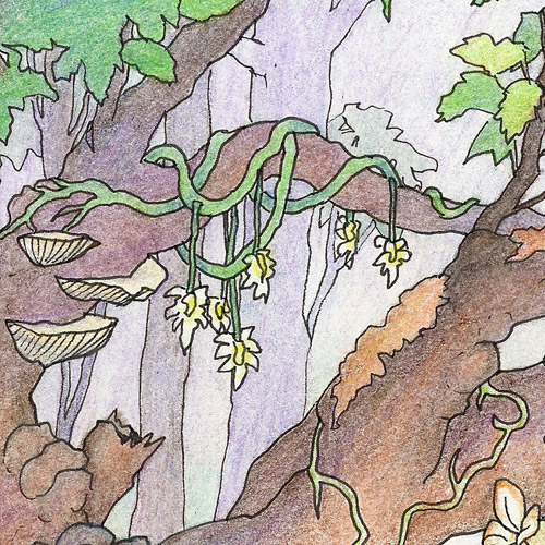 Icon of an old growth forest. Colored pencil illustration.